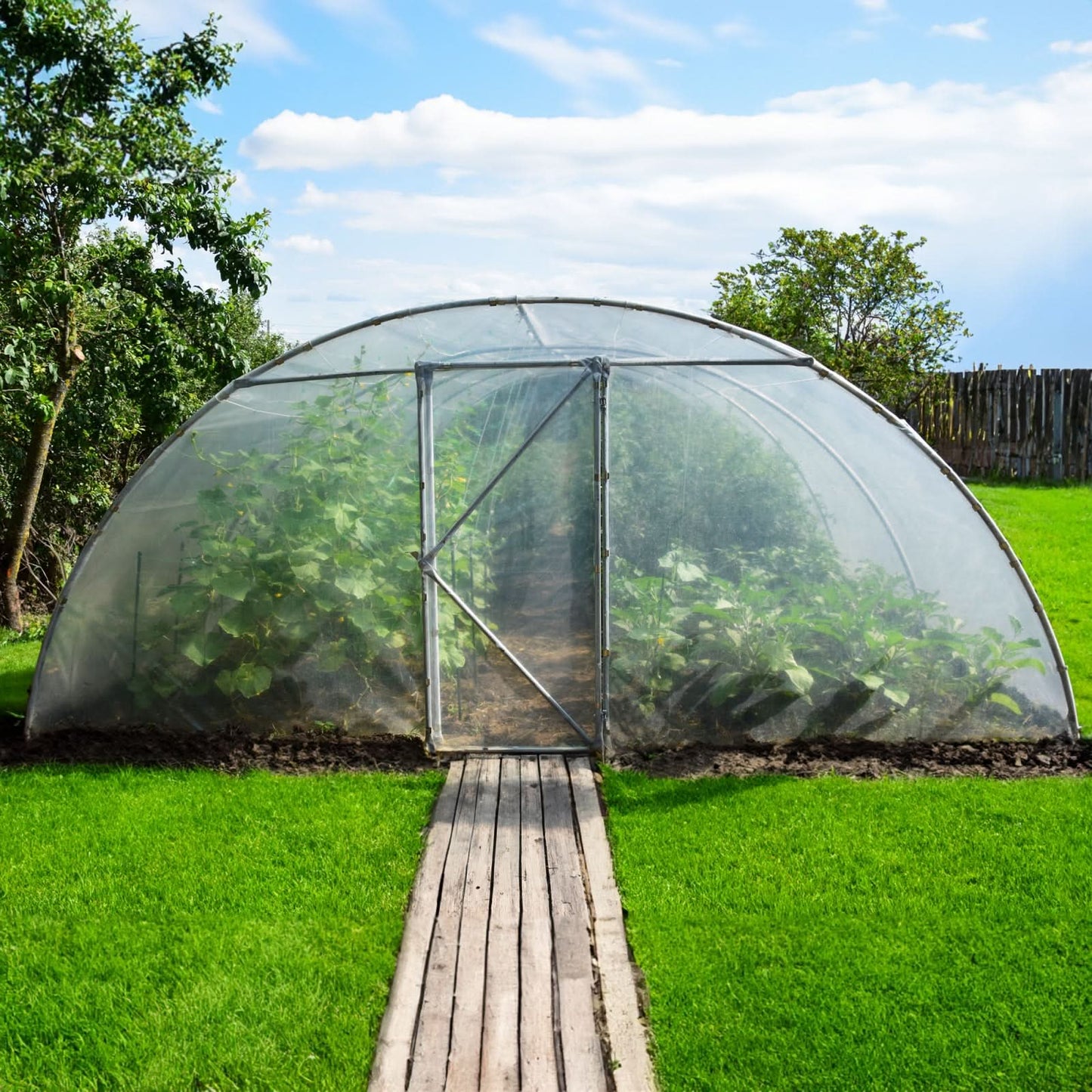 Sera gradina 27 MP Tehno MS #51301