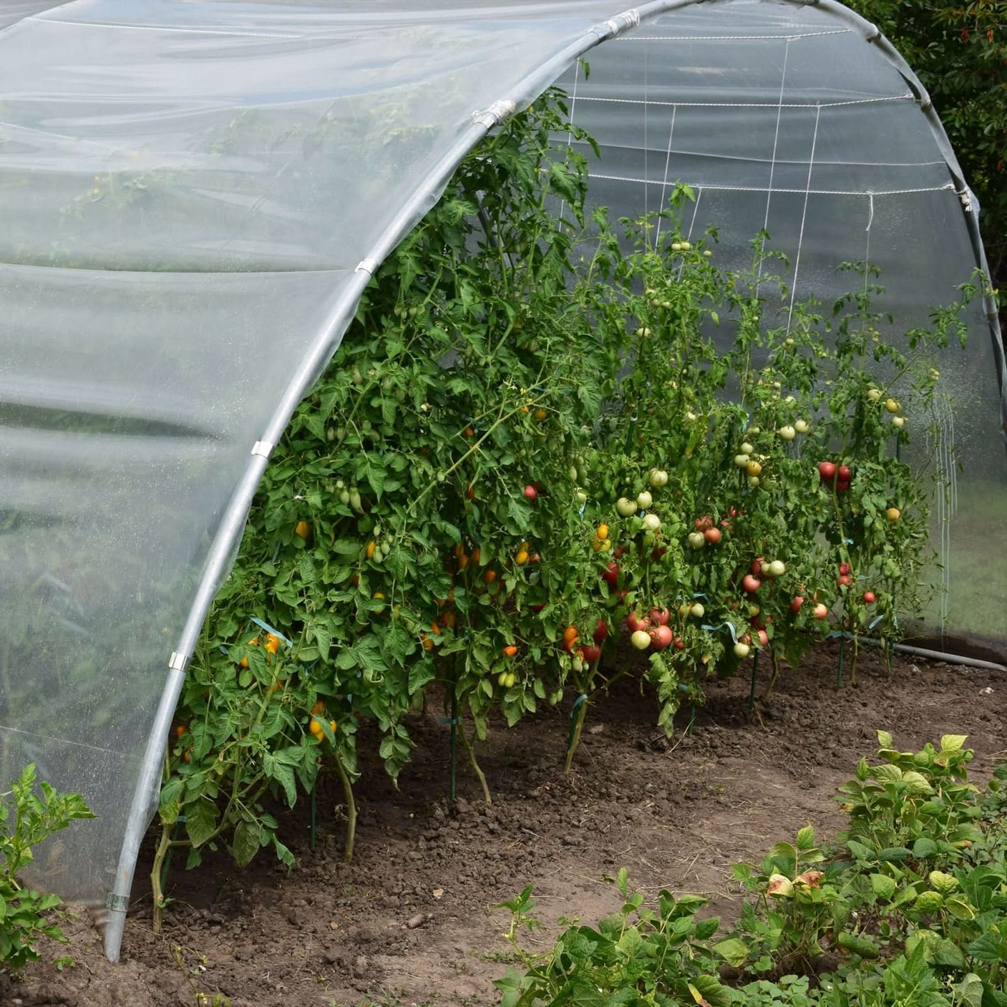 Sera gradina 27 MP Tehno MS #51301