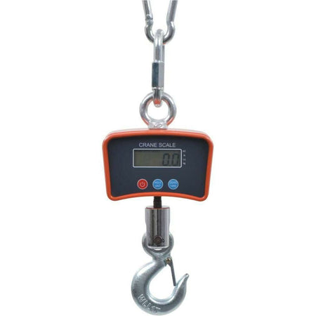 Cantar macara electronic 1000 kg - ZEP.RO