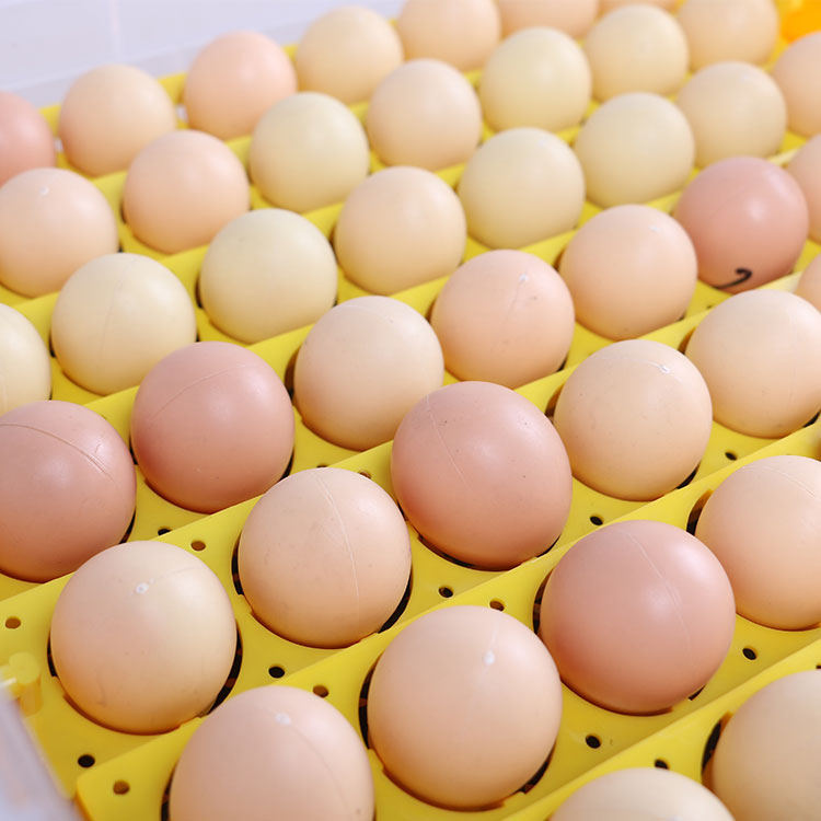 Incubator automat ZEP OVOBOX-63 pentru oua, capacitate mare, control digital temperatura si umiditate, intoarcere automata