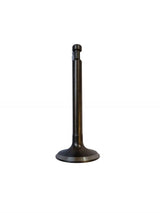 Set 10 supape evacuare pentru motopompa, EF-12721