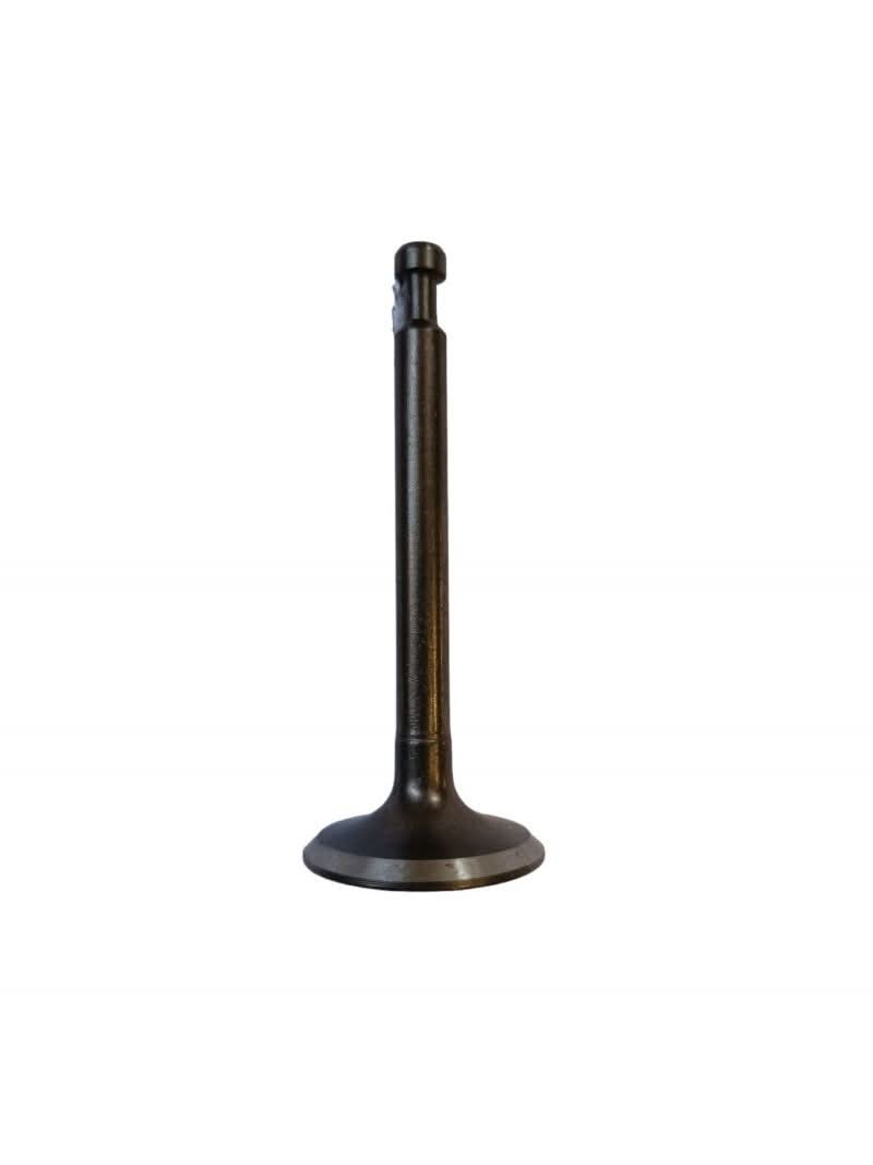 Set 10 supape evacuare pentru motopompa, EF-12721