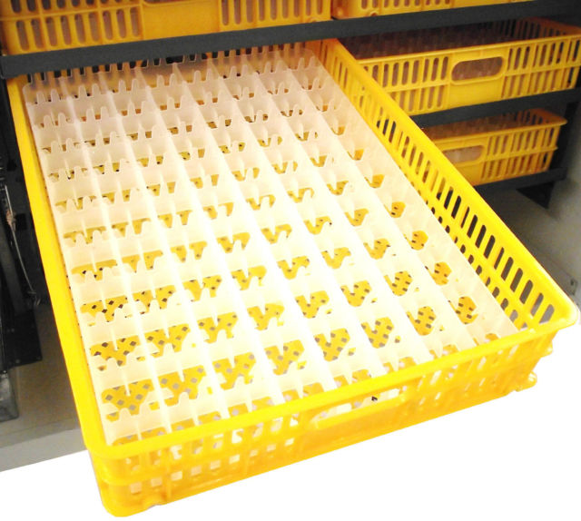 Incubator automat ZEP UNITEH 528 pentru oua, capacitate foarte mare, control digital, intoarcere automata, ovoscop integrat