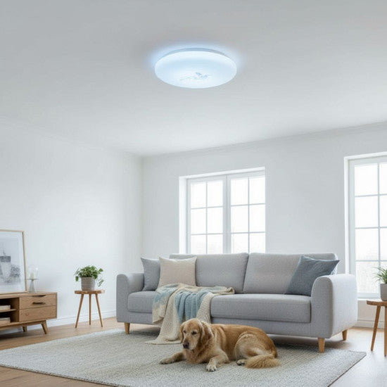 Plafoniera LED Flower, 13W, Ø230x95mm, 6500K, lumina rece