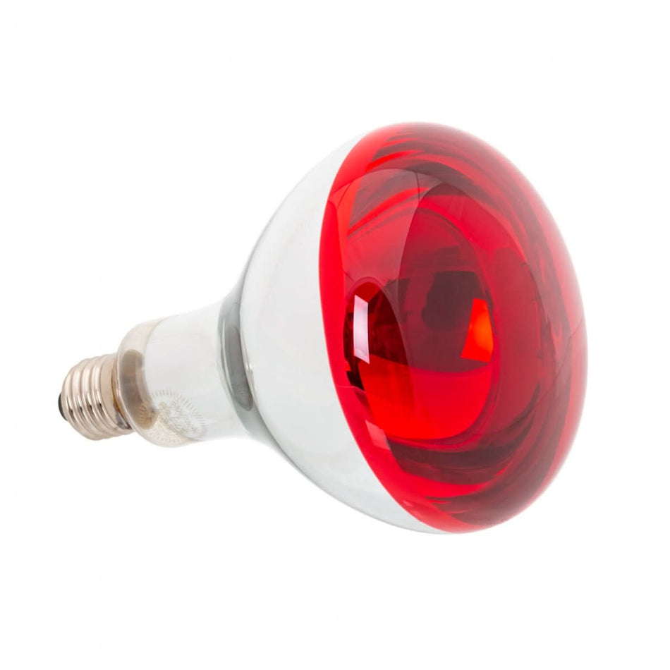 Bec de incalzire cu infrarosu, 250 W, deLux