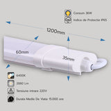 Corp LED, 36W, 6400K, IP65, 1200 mm