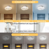 Lustra LED Cercuri 35W, 2 Brate, Telecomanda IR, 3 Culori, 400 mm