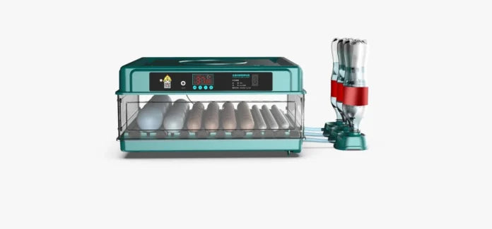 Incubator automat ZEP OVOBOX-48 pentru oua, capacitate mare, control temperatura, intoarcere automata, 220V / 12V