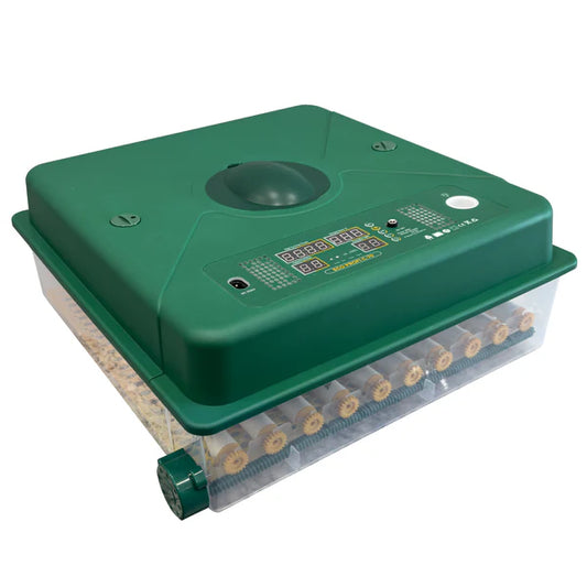 Incubator automat ECO PROFI-70, 70 ouă, 220V/12V, 80W