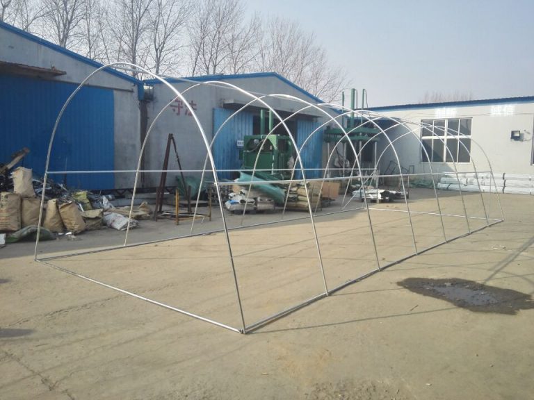 Solar gradina 8x3x2.5 m ZEP PRO, folie polietilena 240 g/mp, structura otel galvanizat, rezistent UV