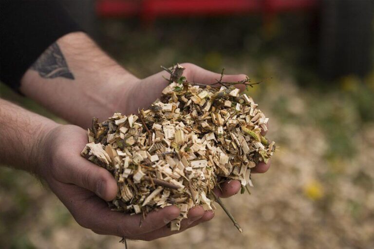 Tocator crengi ZEP ARPAL MB-60BD cu motor benzina 7CP, diametru max 60 mm, 2 cutite reversibile, capacitate 2 mc/ora