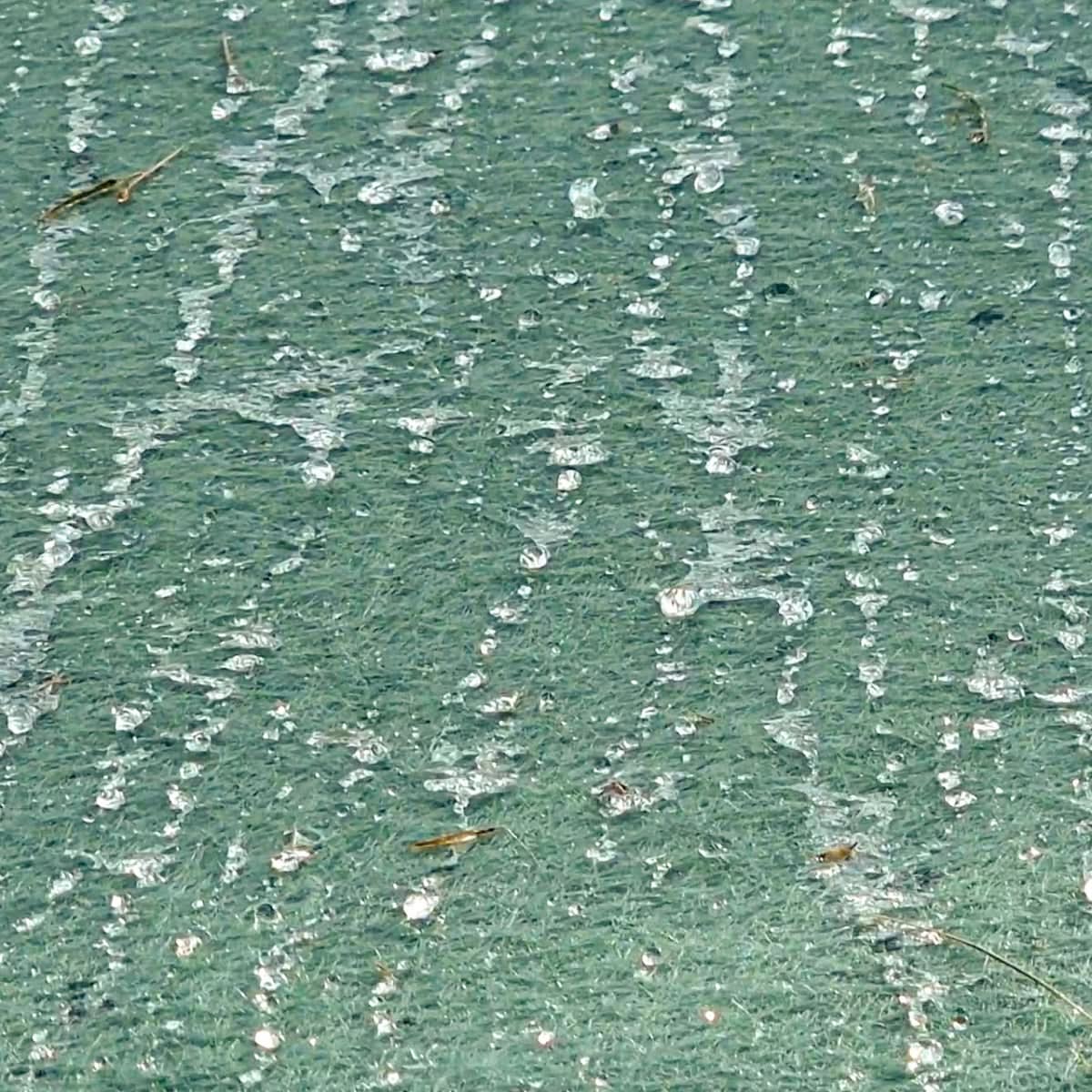 Prelata pentru acoperire baloti - 15,6 × 25 m