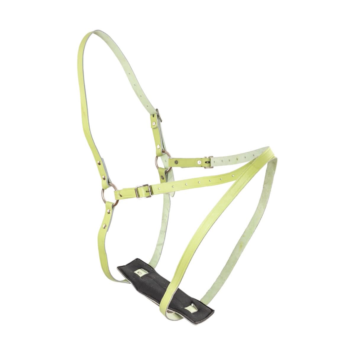 Ham piele pentru marcaj monta oi berbeci