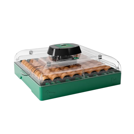 Incubator automat ZEP EU PROFI C-72 pentru oua, 72 oua, control digital, intoarcere automata, alimentare 220V