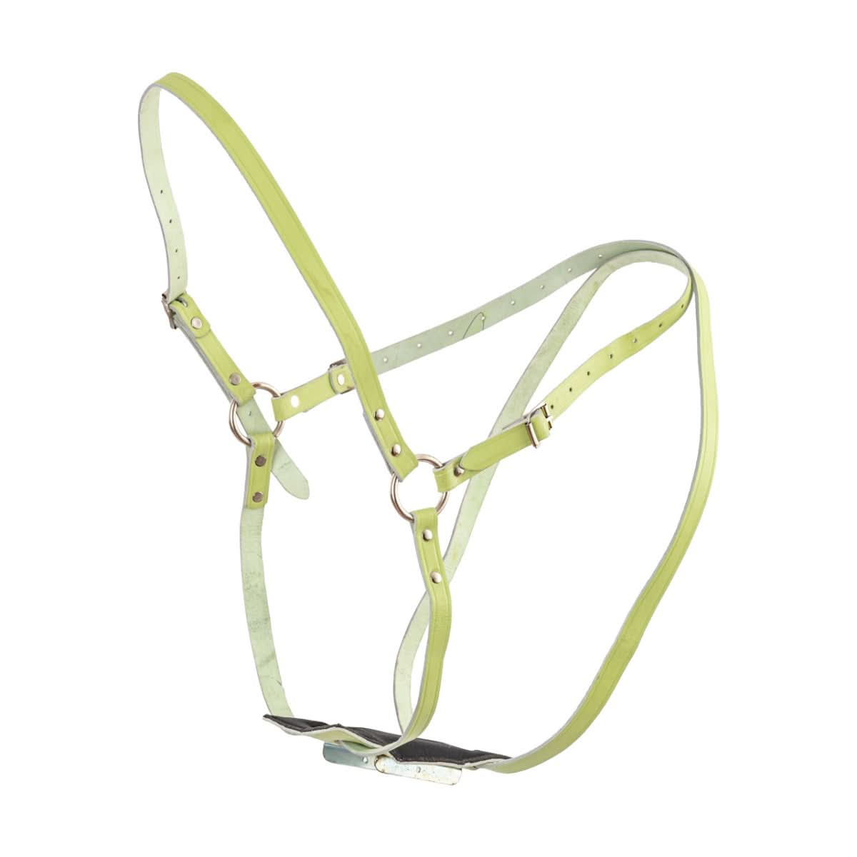 Ham piele pentru marcaj monta oi berbeci