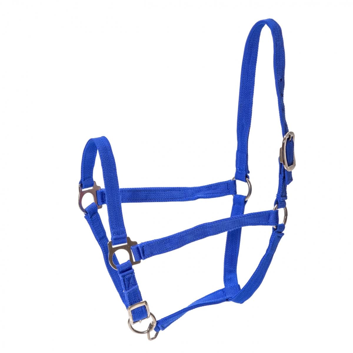 Frau pentru cai, vaci si tauri, albastru