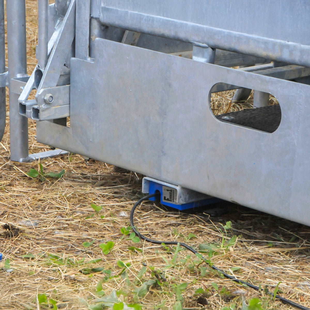 Cantar pentru animale, AniScale, pana la 1500 kg