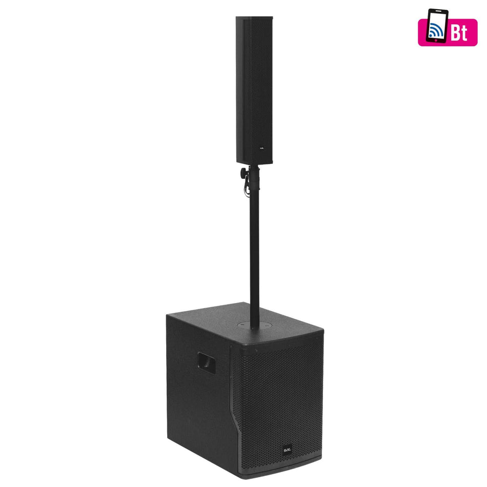 Sistem Audio Profesional PAS10W43S, Woofer 25 cm – Putere si Claritate Superioara