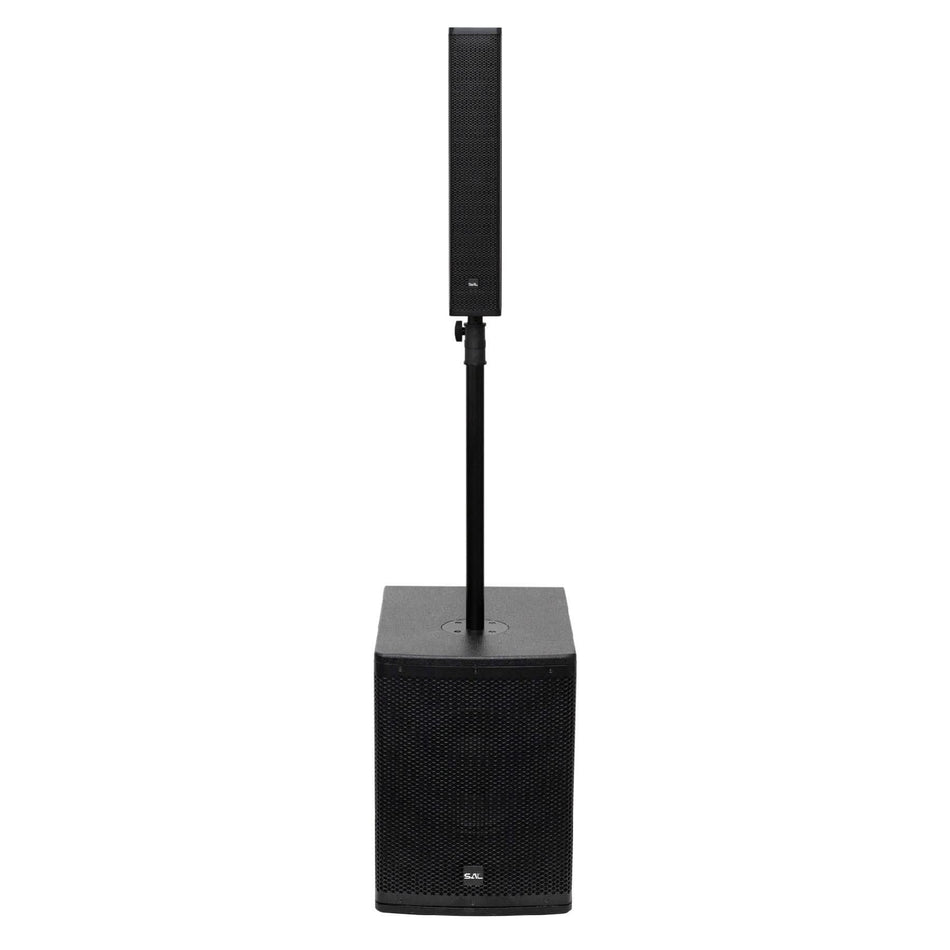 Sistem Audio Profesional PAS10W43S, Woofer 25 cm – Putere si Claritate Superioara