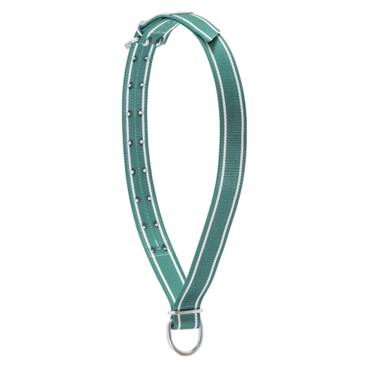 Colier pentru bovine, 150 × 5 cm