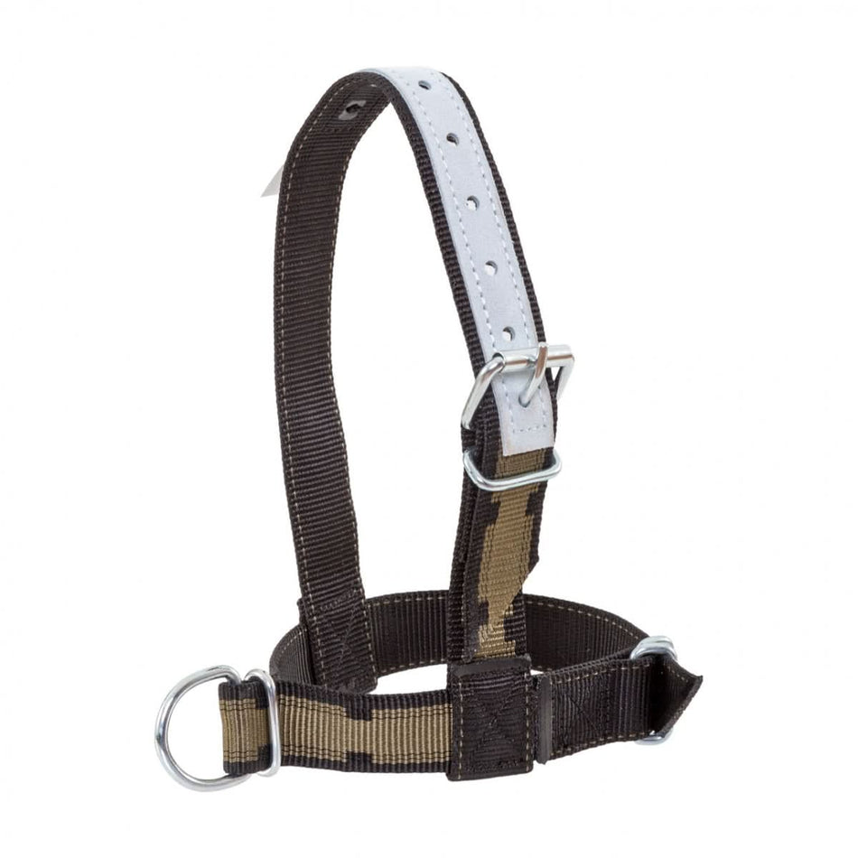 Capastru pentru vitei