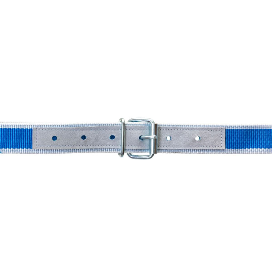 Capastru pentru vaci, cu lant