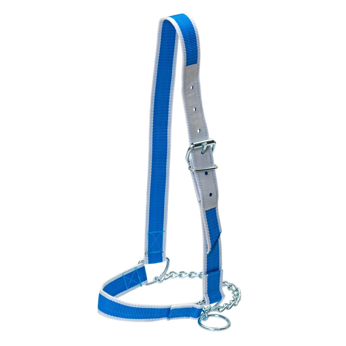 Capastru pentru vaci, cu lant