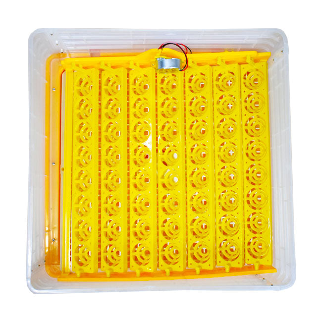 Incubator automat  ZEP OVOBOX-56 pentru oua, capacitate medie, control digital temperatura si umiditate, intoarcere automata