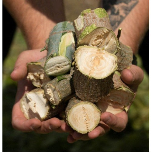 Sistem de taiere ZEP AM-60 ARPAL, diametru max 60 mm, 2 m3/h, 6 cutite, modul pentru tocator lemn