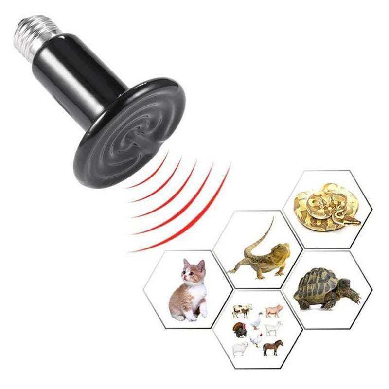 Set 10 buc bec infrarosu NEGRU 25 w ceramic emitator de caldura pentru pui de pasari si animale de companie