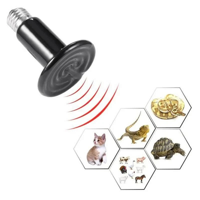 Set 10 buc bec infrarosu negru ceramic 50W emitator de caldura pentru pui de pasari si animale de companie
