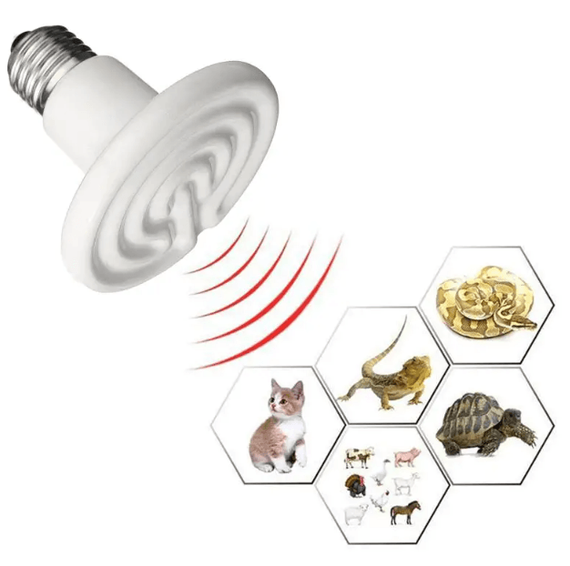 Bec alb cu infrarosu emitator de caldura pentru animale de companie, 75W, Tehno Ms #81802 - ZEP.RO - Ți-e la îndemână!