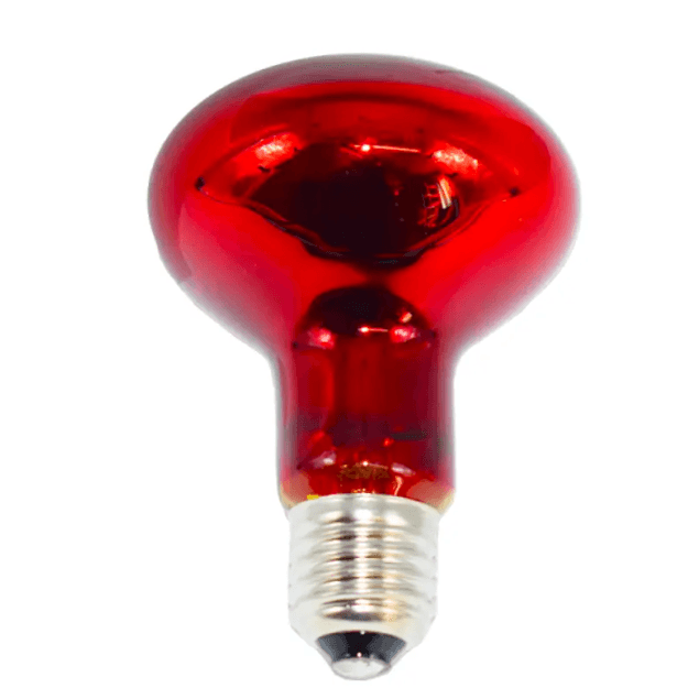 Bec cu infrarosu, culoare rosu inchis complet, 100W, Tehno Ms #734 - ZEP.RO - Ți-e la îndemână!