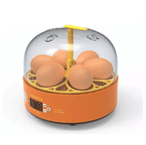 Incubator automat MS, 6 oua, 12V/ 220V, Tehno Ms #272 - ZEP.RO - Ți-e la îndemână!