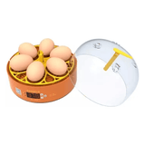 Incubator automat MS, 6 oua, 12V/ 220V, Tehno Ms #272 - ZEP.RO - Ți-e la îndemână!