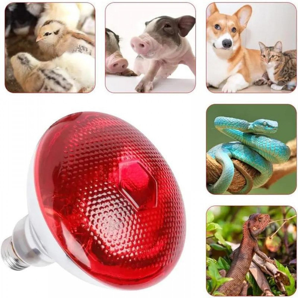 Bec infrarosu Fermag 275W E27 rosu pentru pui purcei miei reptile