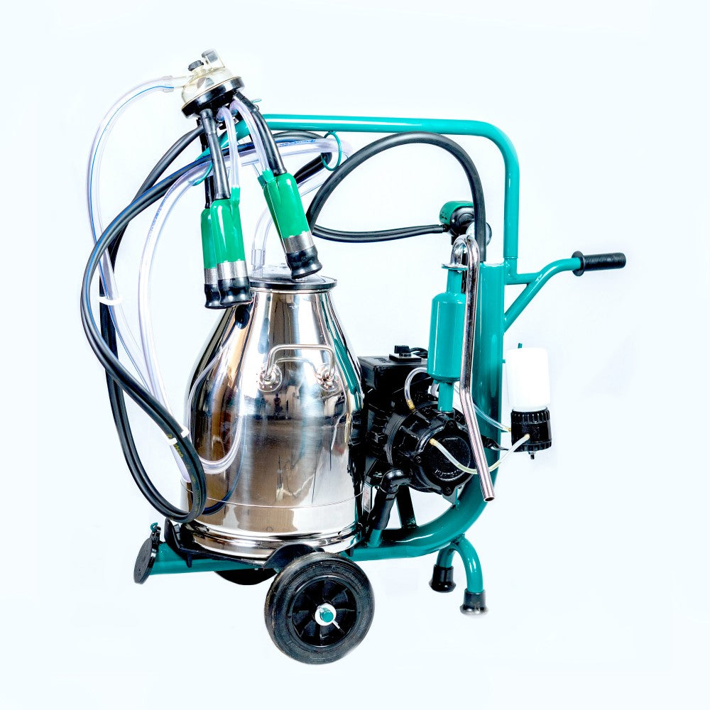 Aparat de muls cu 1 post, 1 bidon inox 30 L, pompa cu ungere, pulsator pneumatic