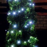 Ghirlanda LED Home Zep 100 LED 7m Alb Rece 8 Programe Interior si Exterior 230V