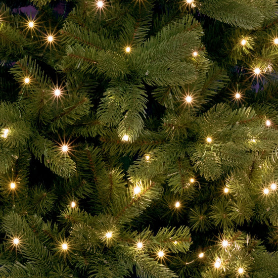 Pachet 10 Ghirlande MicroLED Home Zep 250 LED Alb Cald 2,4m IP44 cu Timer si Luminozitate Reglabila