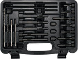 SET EXTRACTOR BUJII INCANDESCENTE 22 BUC