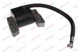 Aprindere Briggs & Stratton 796964