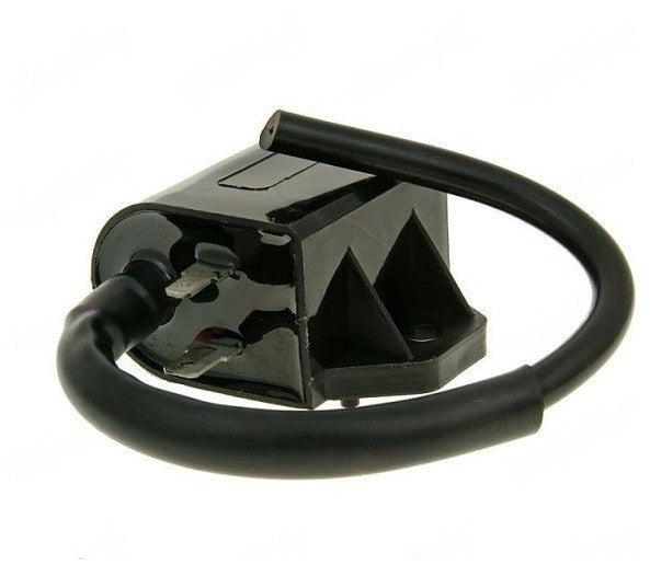 Aprindere pentru scuter CDI cu bobina scuter Italjet, Suzuki, TGB (Morini)