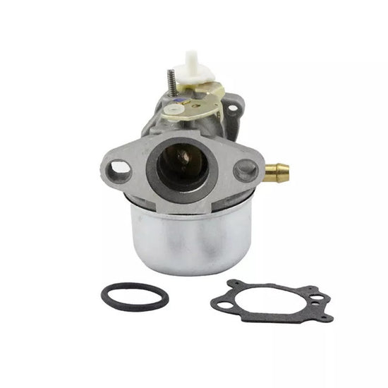 Carburator Briggs & Stratton 497586, 499059 - vedere 3