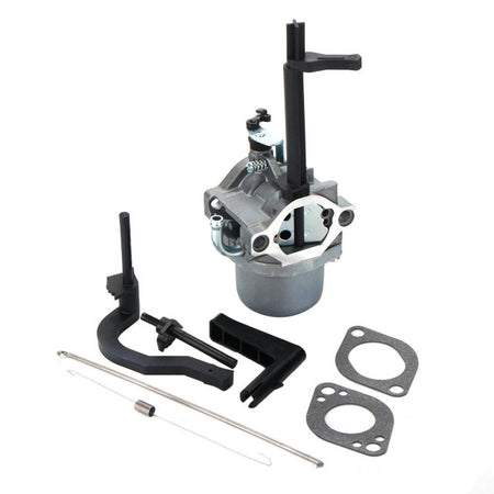 Carburator BriggsStratton 591378, 699966, 699958