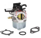 Carburator Briggs & Stratton seria 700, 750 DOV seria - vedere 3