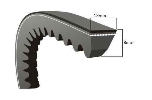 Curea motosapa (Zimbru 6544) 13 x 8 x 925 La