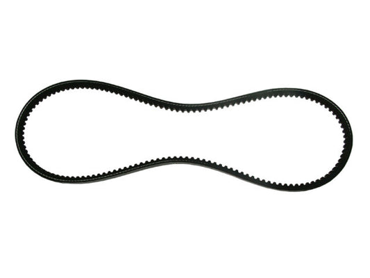 Curea motosapa (Zimbru 6544) 13 x 8 x 925 La