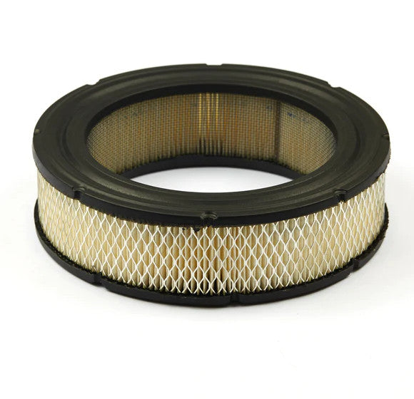 Filtru aer Briggs  Stratton 692519