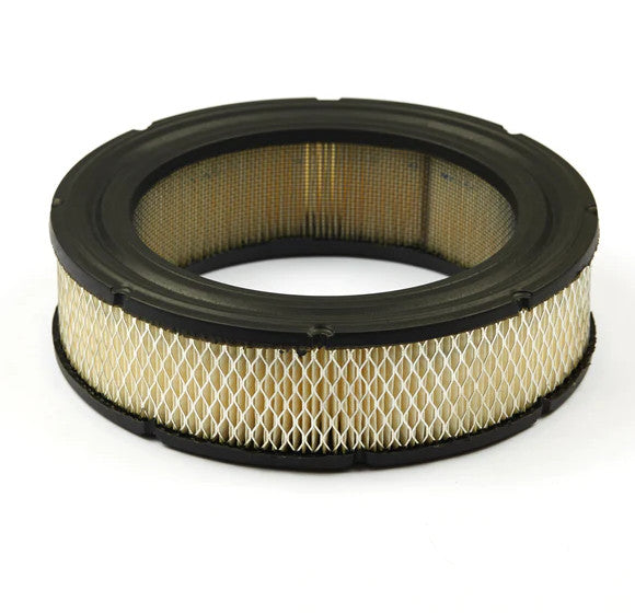 Filtru aer Briggs & Stratton 692519