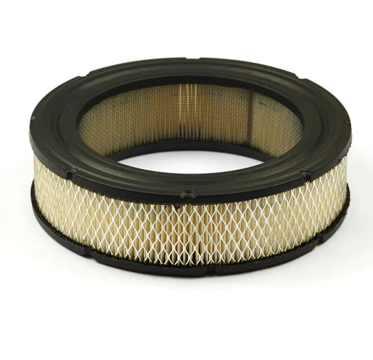 Filtru aer Briggs & Stratton 692519